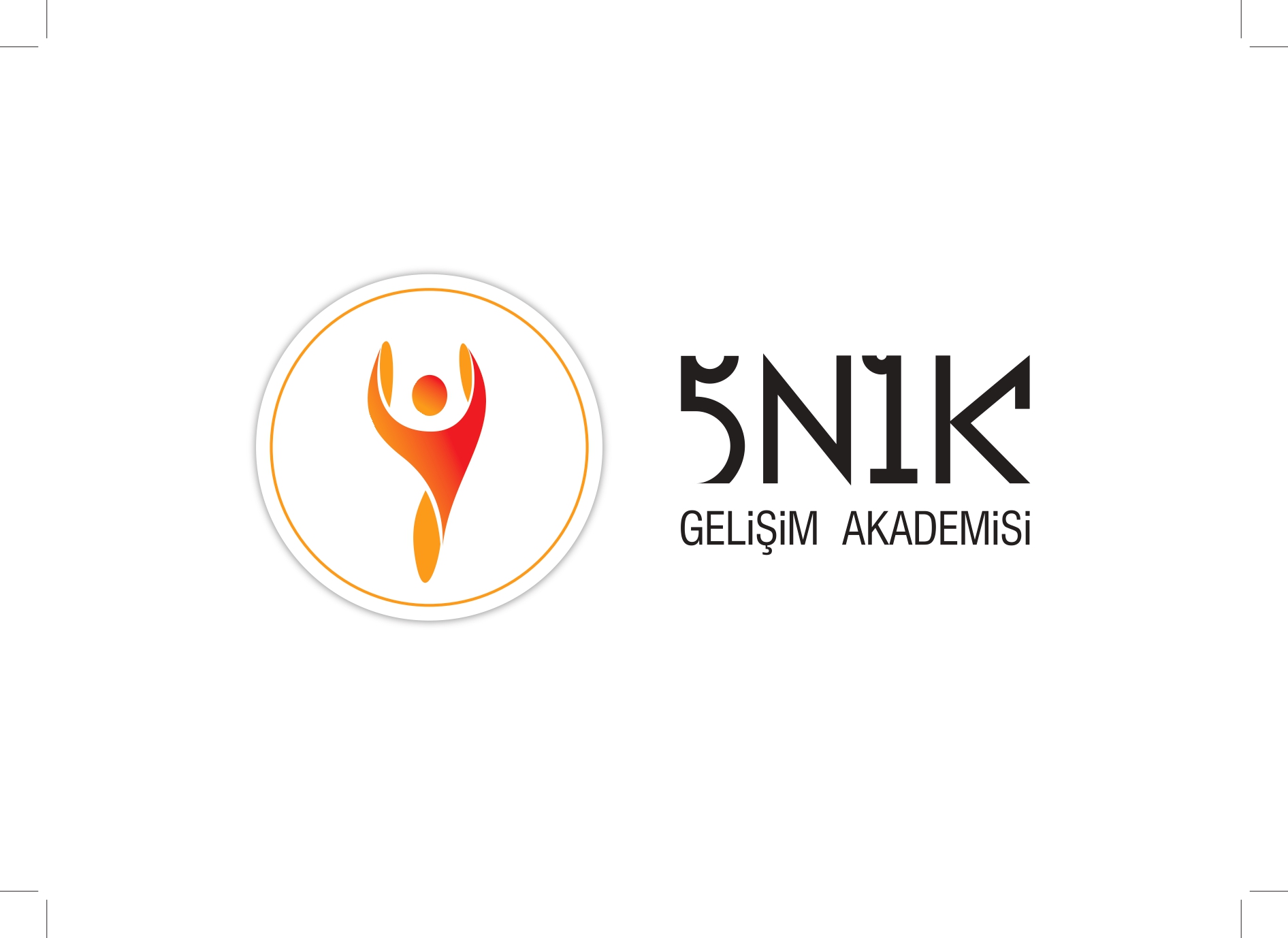 5N1K